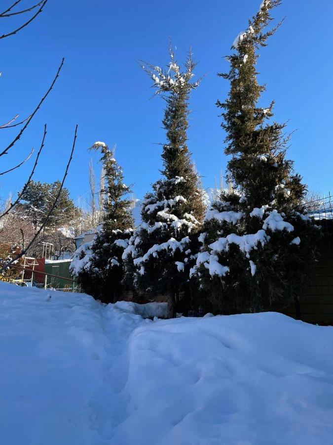 Гостевой Дом Chimgan Apple Garden Exterior photo
